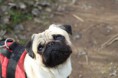 /album/fotogalerie-bilder/img-6607-jpg1/