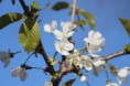/album/fotogalerie-bilder/img-9721-jpg/