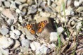 /album/fotogalerie-bilder/img-9737-jpg/