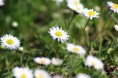 /album/fotogalerie-bilder/img-9782-jpg/